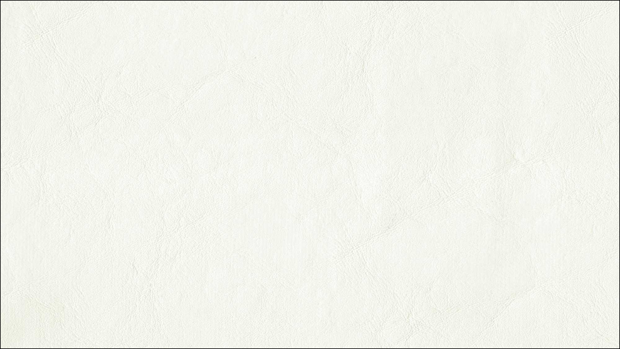 ZANDER - ZAN-3103 - Brilliant White